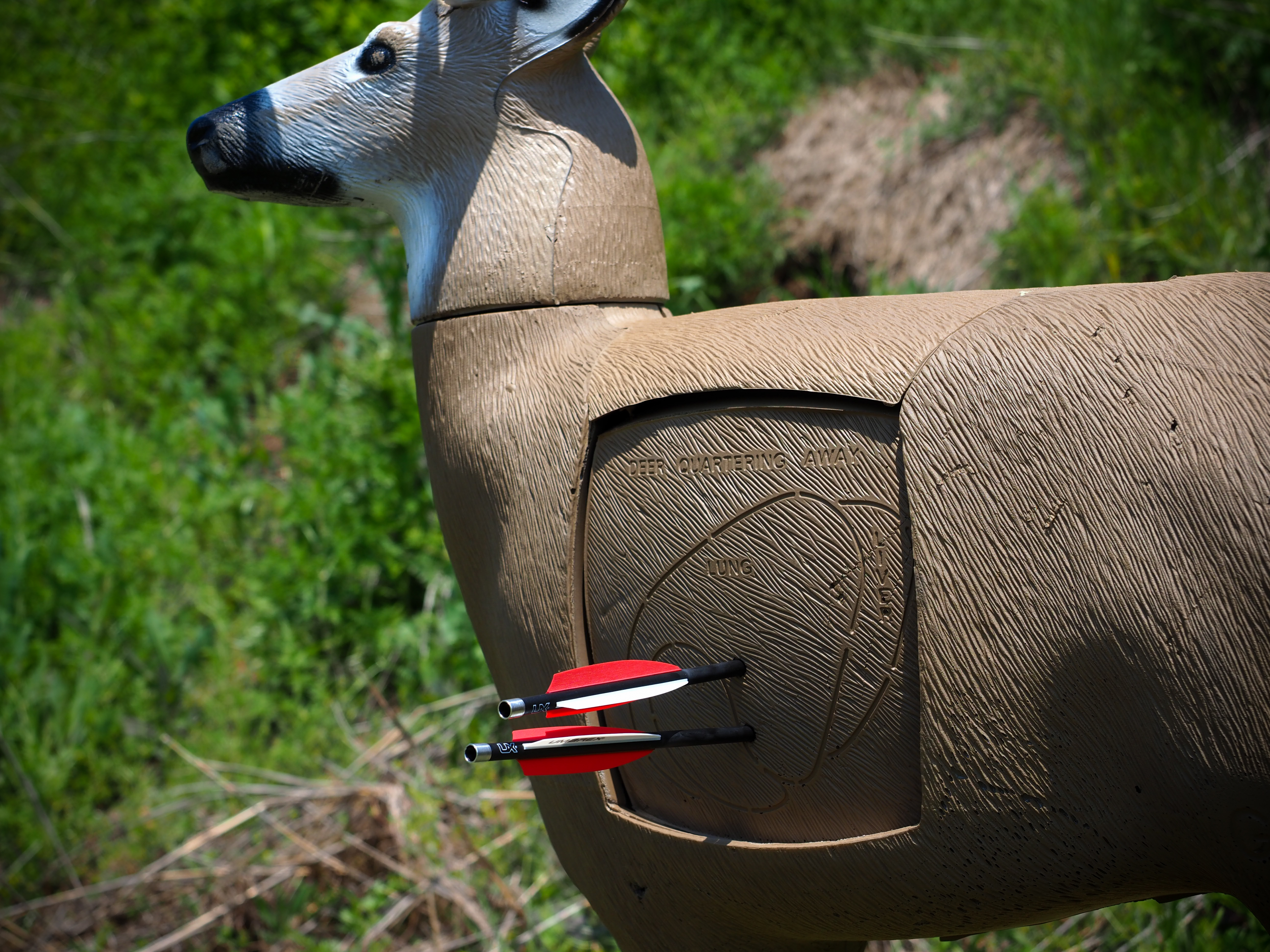 Deer Targe with a group of arrows in it